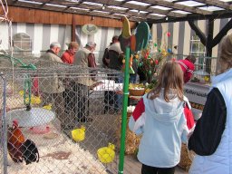 kuekenschau07_13
