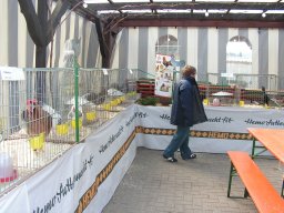 kuekenschau07_14