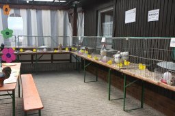kuekenschau09_07