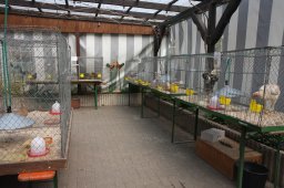 kuekenschau09_15
