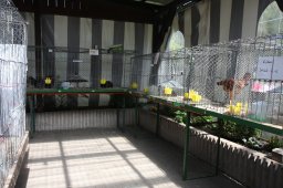 kuekenschau2011-10