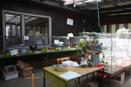 kuekenschau2011-13