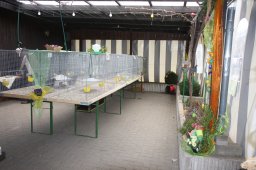 Kükenschau 2013
