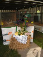 lokalschau06_09