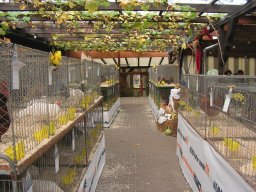 lokalschau06_30