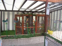 lokalschau06_33