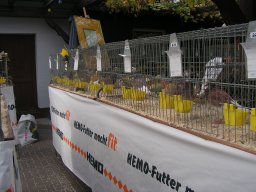 lokalschau06_46