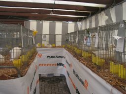 lokalschau06_54
