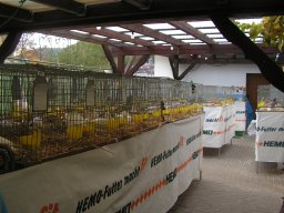 lokalschau06_55