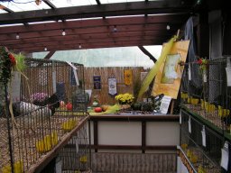 lokalschau2008_06