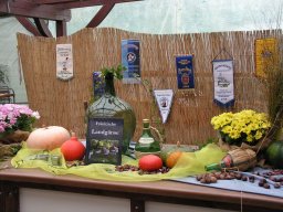lokalschau2008_08