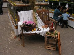 lokalschau2008_10