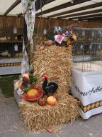 lokalschau2008_15