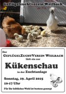 Olakat Kükenschau 2015