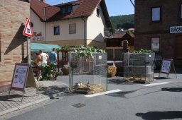 BMarkt_2012-08-19_05