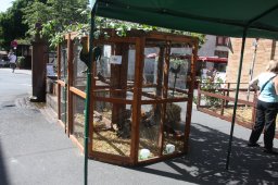 BMarkt_2012-08-19_07