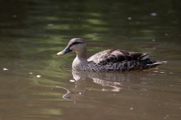 img_8155