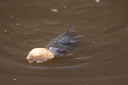 img_8161