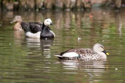 img_8184