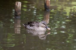 img_8185