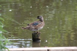 img_8221